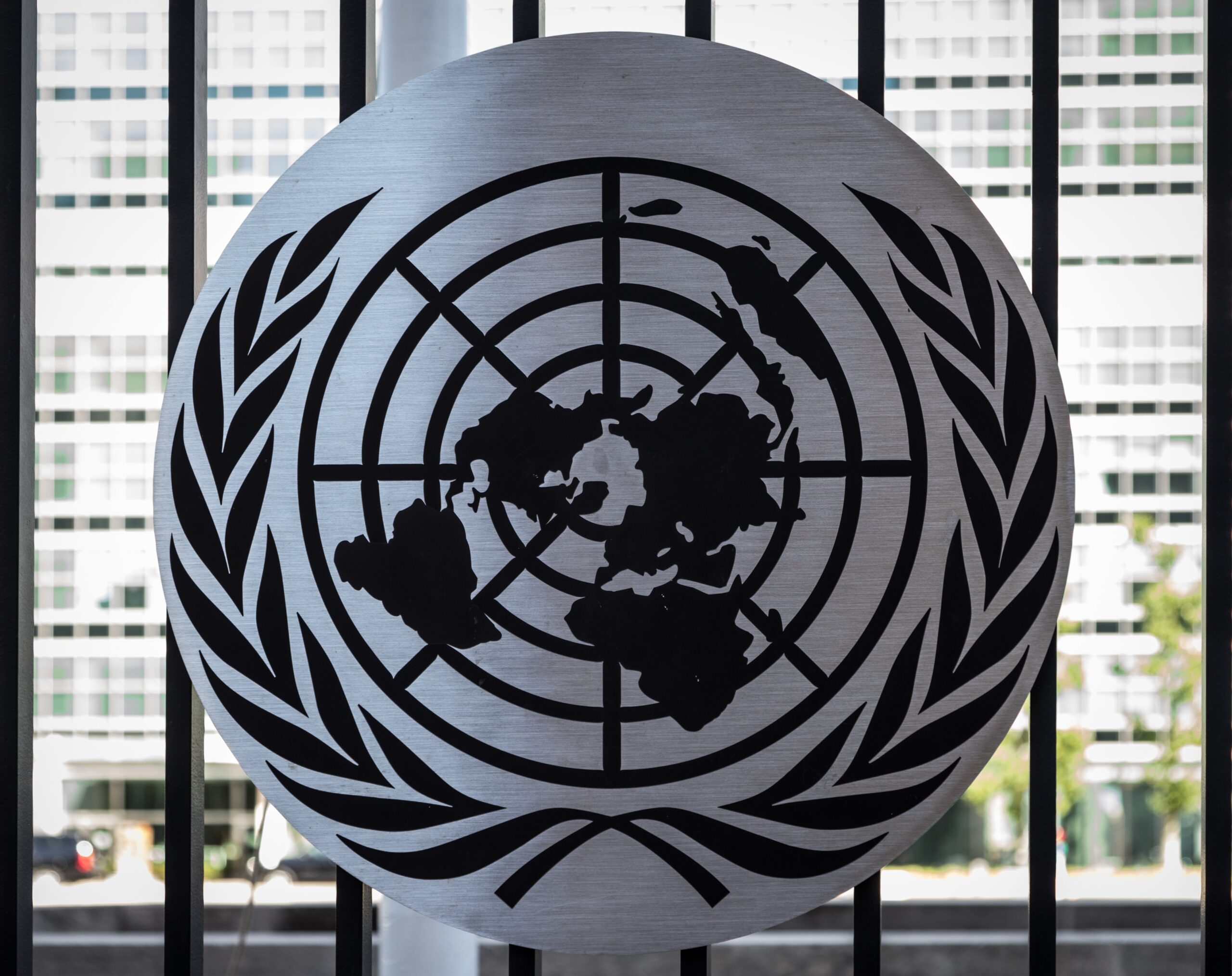 UN Symbol