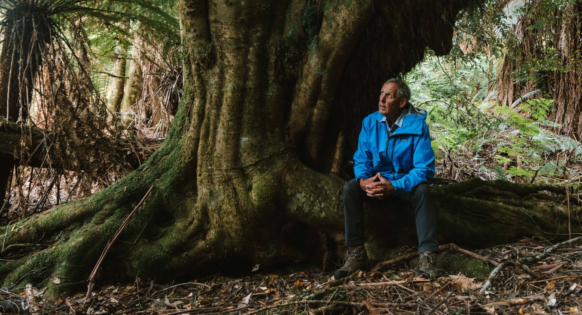 Dr Bob Brown to receive gold medal for human rights